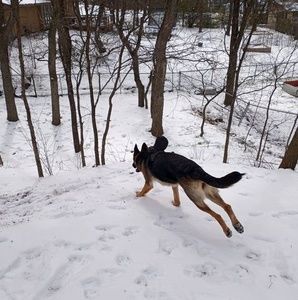 Meet your Posher, Joshua